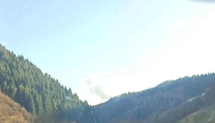 Cormaia Bn -  Instagram - Sângeorz-băi