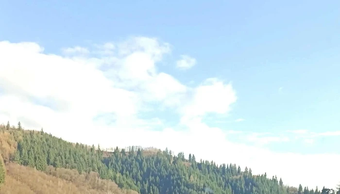 Cormaia Bn -  Locație - Sângeorz-băi