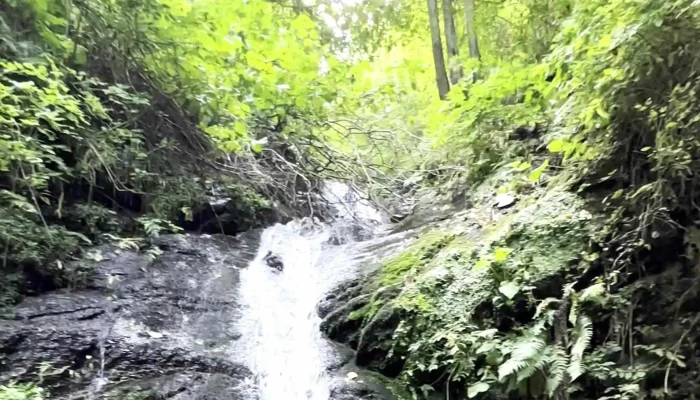 Cormaia Bn -  Sangeorz Băi - Sângeorz-băi