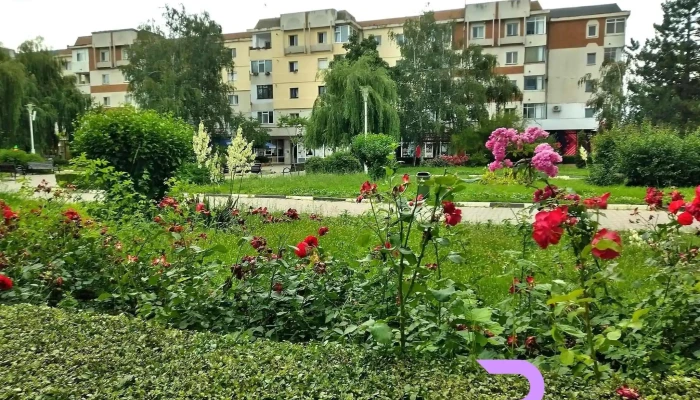 Costesti Zonă - Costești