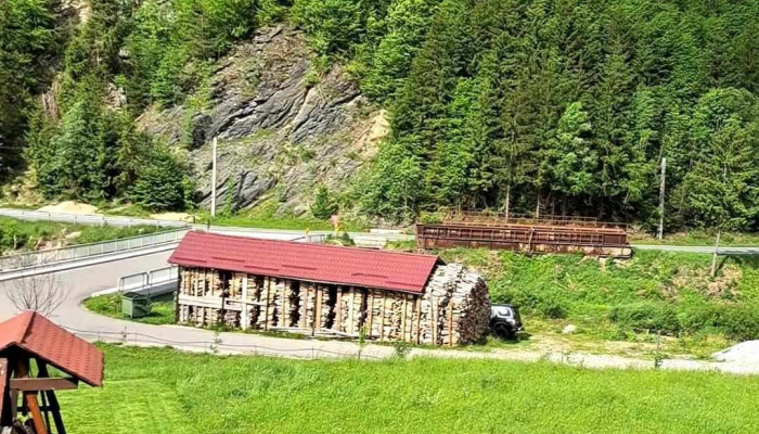 Cotul Ariesului De La Vizitatori - Necșești