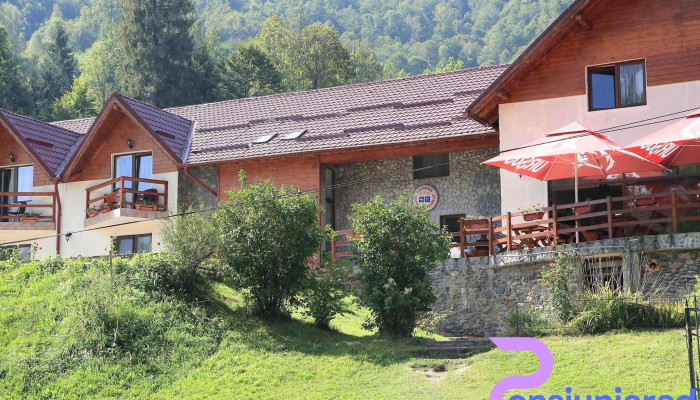 Cotul Ariesului Scor - Necșești