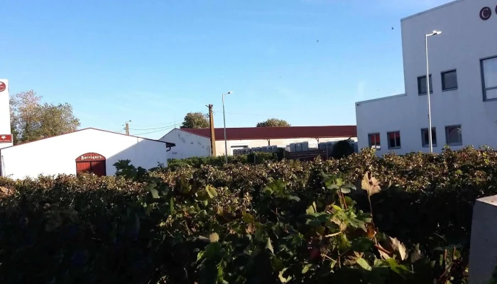 Crama Viisoara -  Comentarii - Constanta