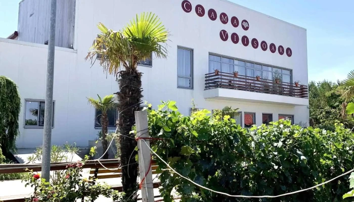 Crama Viisoara -  Cum Să Ajungi Acolo - Constanta