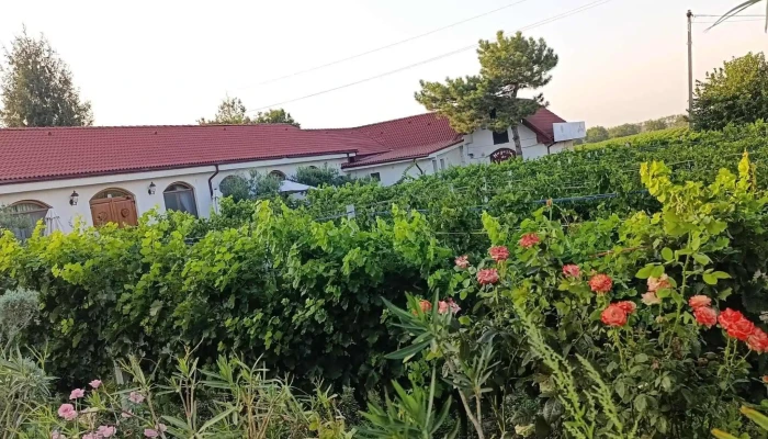 Crama Viisoara -  Instagram - Constanta