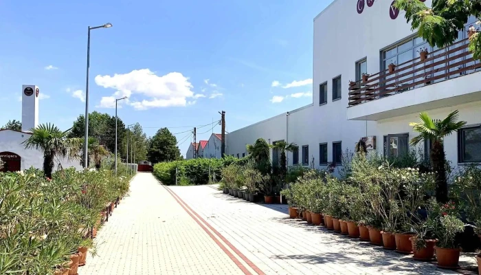 Crama Viisoara -  Recenzii - Constanta