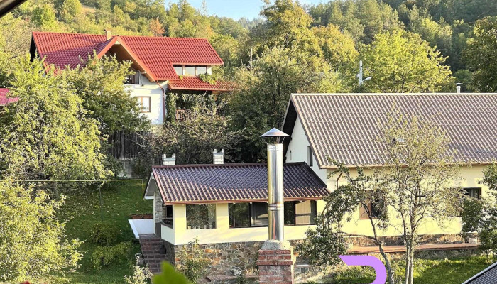 Creanga Recenzii - Târgu Ocna