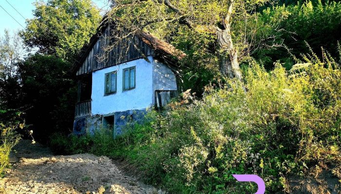 Criscior Unde - Crișcior