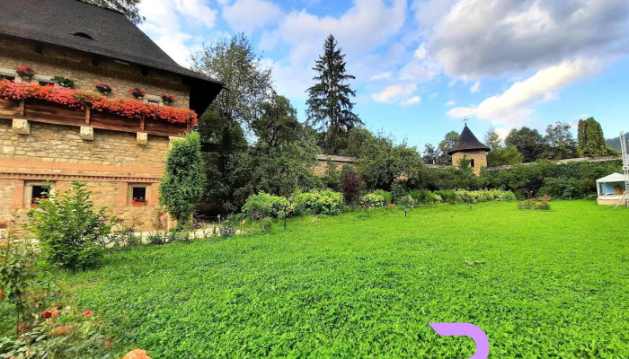 Crizantema -  Locație - Vatra Moldoviței