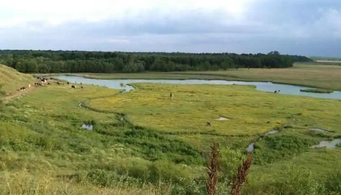Cucueţi - Cucueţi