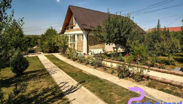 Cuibul De La Mare Corbu De La Vizitatori - Constanța