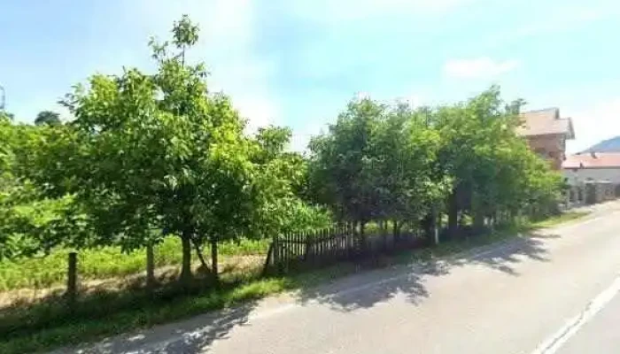 Cuibul Visurilor -  Street View Si 360deg - Maieru