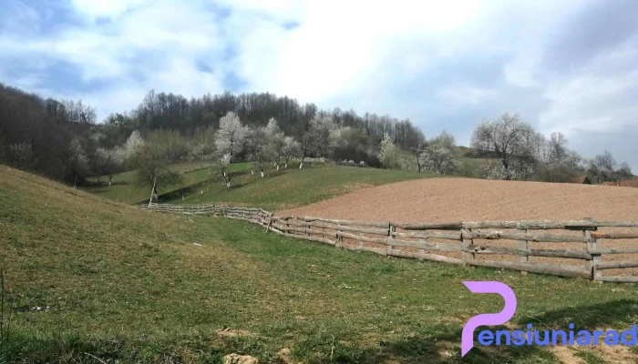 Căbești - Căbești