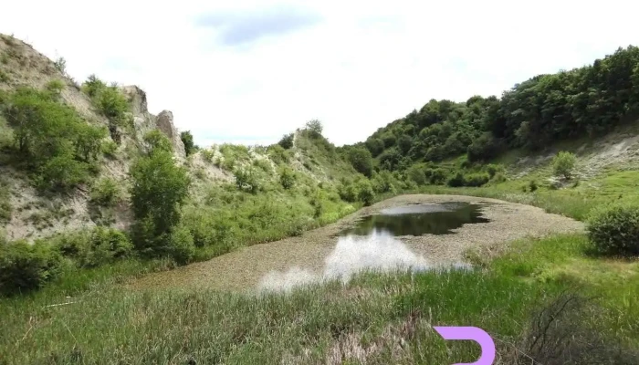 Căianu Mare - Căianu Mare