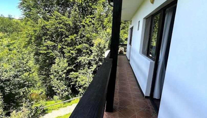 Căprioara - Talea