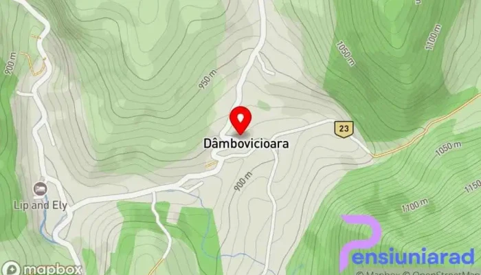 hartă a Dâmbovicioara  în Dâmbovicioara