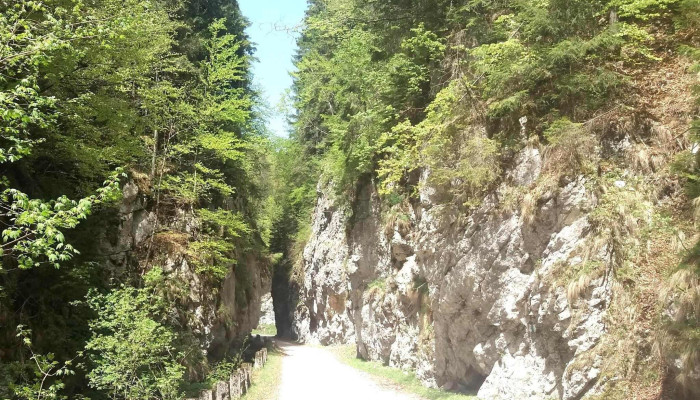 Dâmbovicioara - Romania