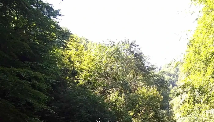 Dambovicioara Telefon - Romania