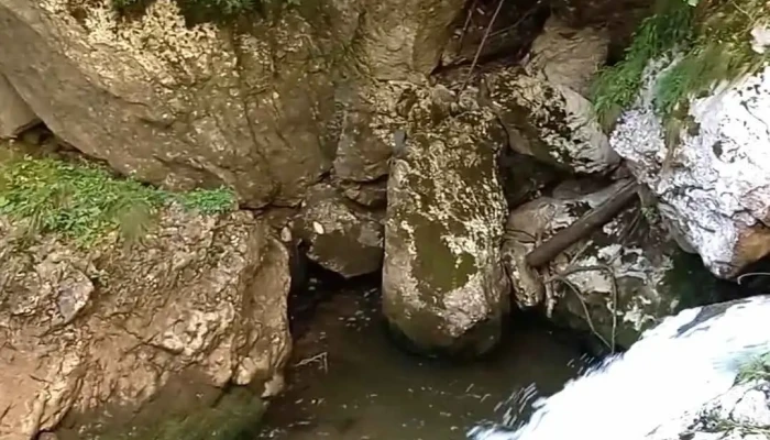Damuc Videoclipuri - Romania
