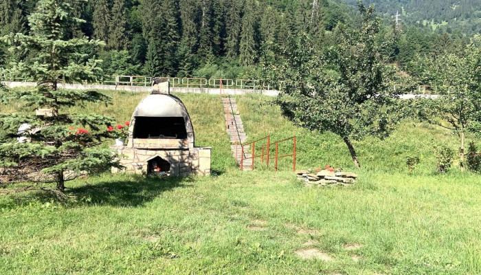Dochia -  Poiana Teiului - Poiana Teiului