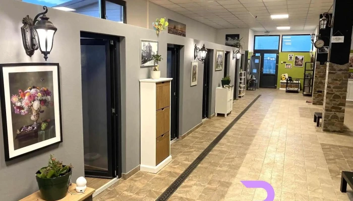 Dogtors Pet Hotel - Pantelimon 077145