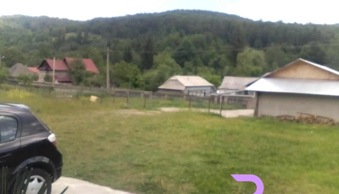 Dolhesti Program - Dolhești