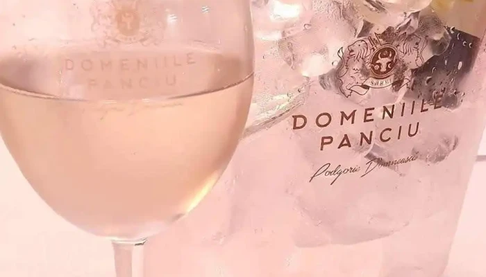 Domeniile Panciu Winery And Resort -  Cele Mai Recente - Sârbi