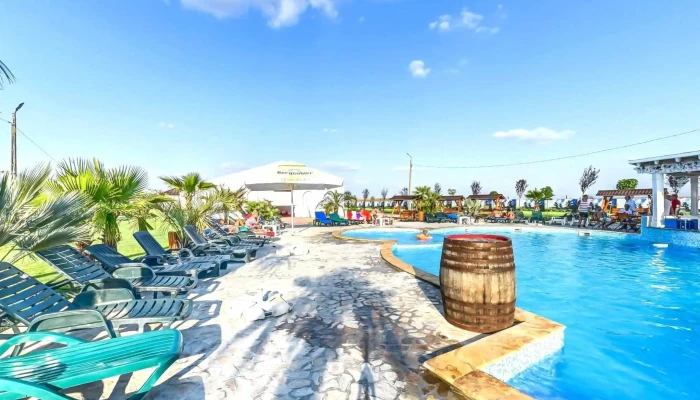 Domeniul Cu Palmieri -  Piscina - Singureni