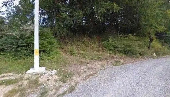 Domeniul Dambu Morii Street View Si 360deg - Timișu De Jos