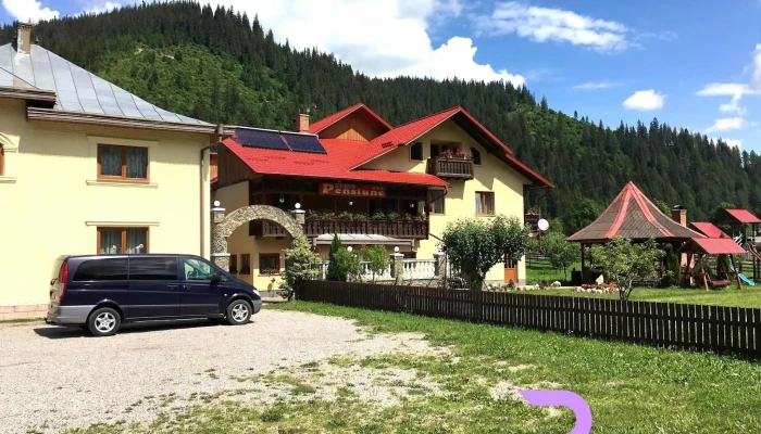 Dor De Codru -  Comentarii - Sadova