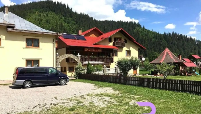 Dor de Codru - Sadova