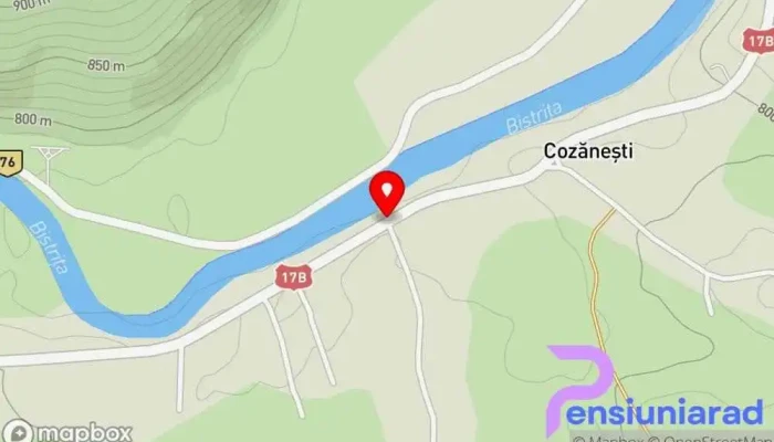 hartă a Dorna Arini  în Dorna Arini
