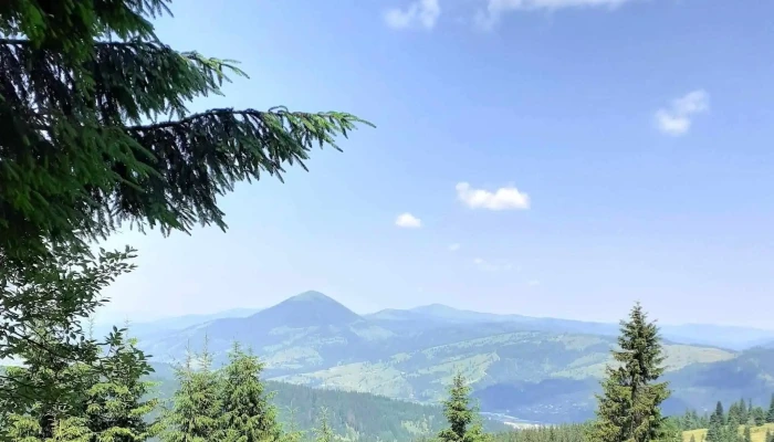 Dorohoi News -  Fotografii - Dorohoi