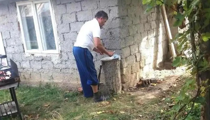 Dragomirești - Dragomirești