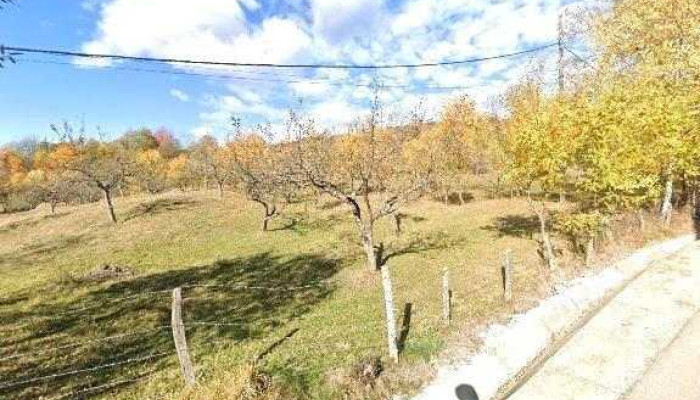 Drumul Voievozilor -  Street View Si 360deg - Arefu