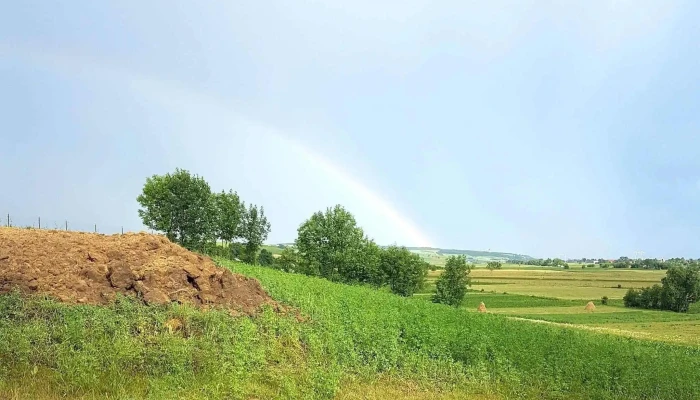 Dumbravita De Sus Suceava Dumbrăvița - Dumbrăvița