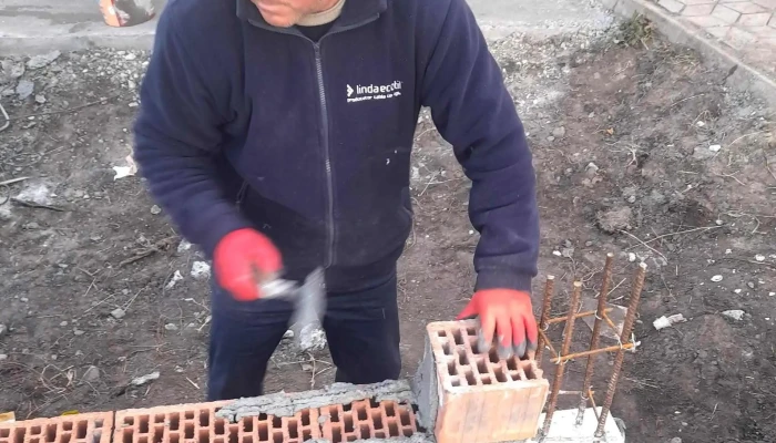 Dumbravita De Sus Suceava Program - Dumbrăvița