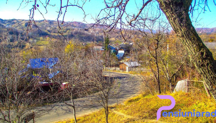 Dumitrestii De Sus Munte - Dumitreștii De Sus