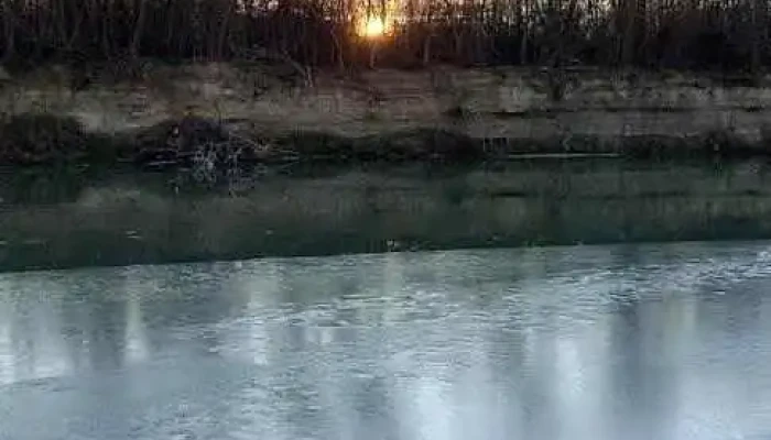 Dărmănești - Dărmănești