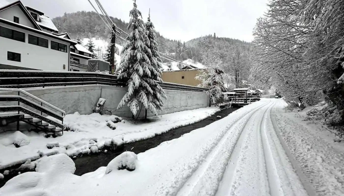 Eden Chalet -  De La Proprietar - Dâmbovicioara