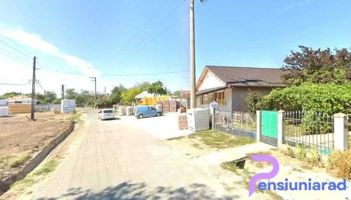 Ene Uliul - Sălciile