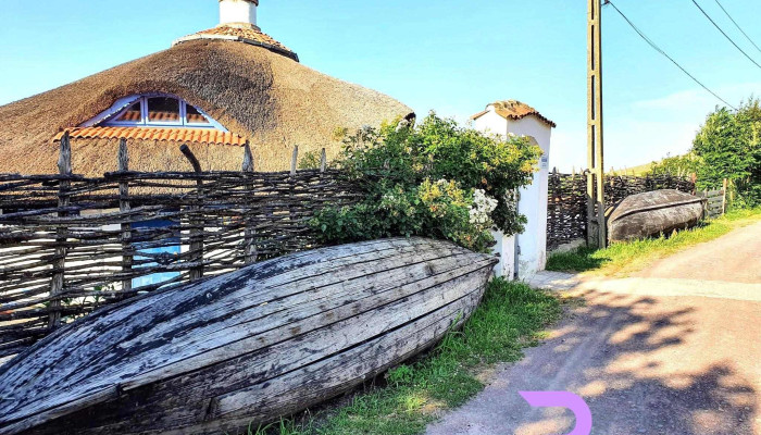 Enisala Safari Village -  Adresă - Enisala