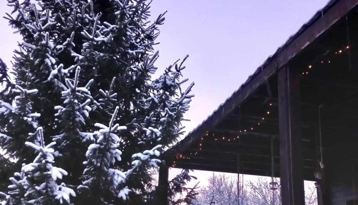 Ethereal Chalet - Valea Mare Pravăț