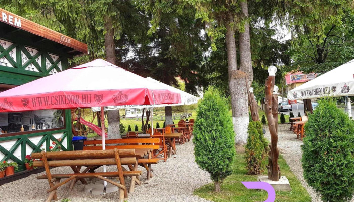 Falo Restaurant Atmosfera - Borsec