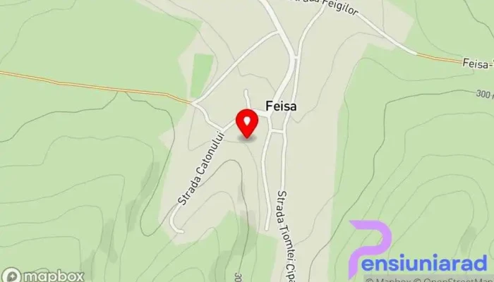 hartă a Feisa  în Feisa