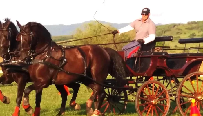 Ferma Jack -  Adresă - Bistrița