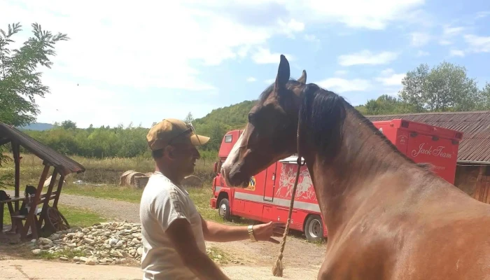 Ferma Jack -  Program - Bistrița