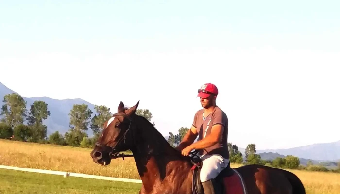Ferma Jack -  Recenzii - Bistrița