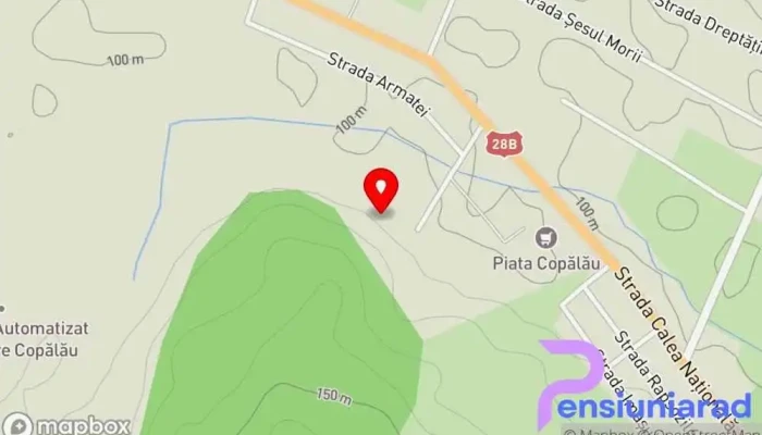 Ferma pui Copalau - Copălău