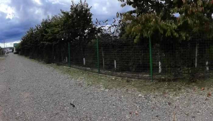Ferma Tudor -    Mure Si Zmeura Zonă - Vernești